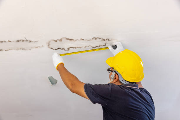 Mold inspection