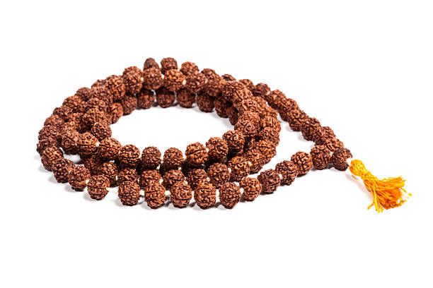 original rudraksha