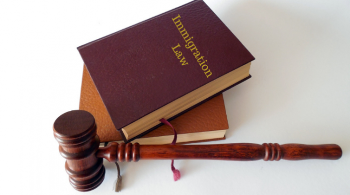 Immigration Habeas Lawyer